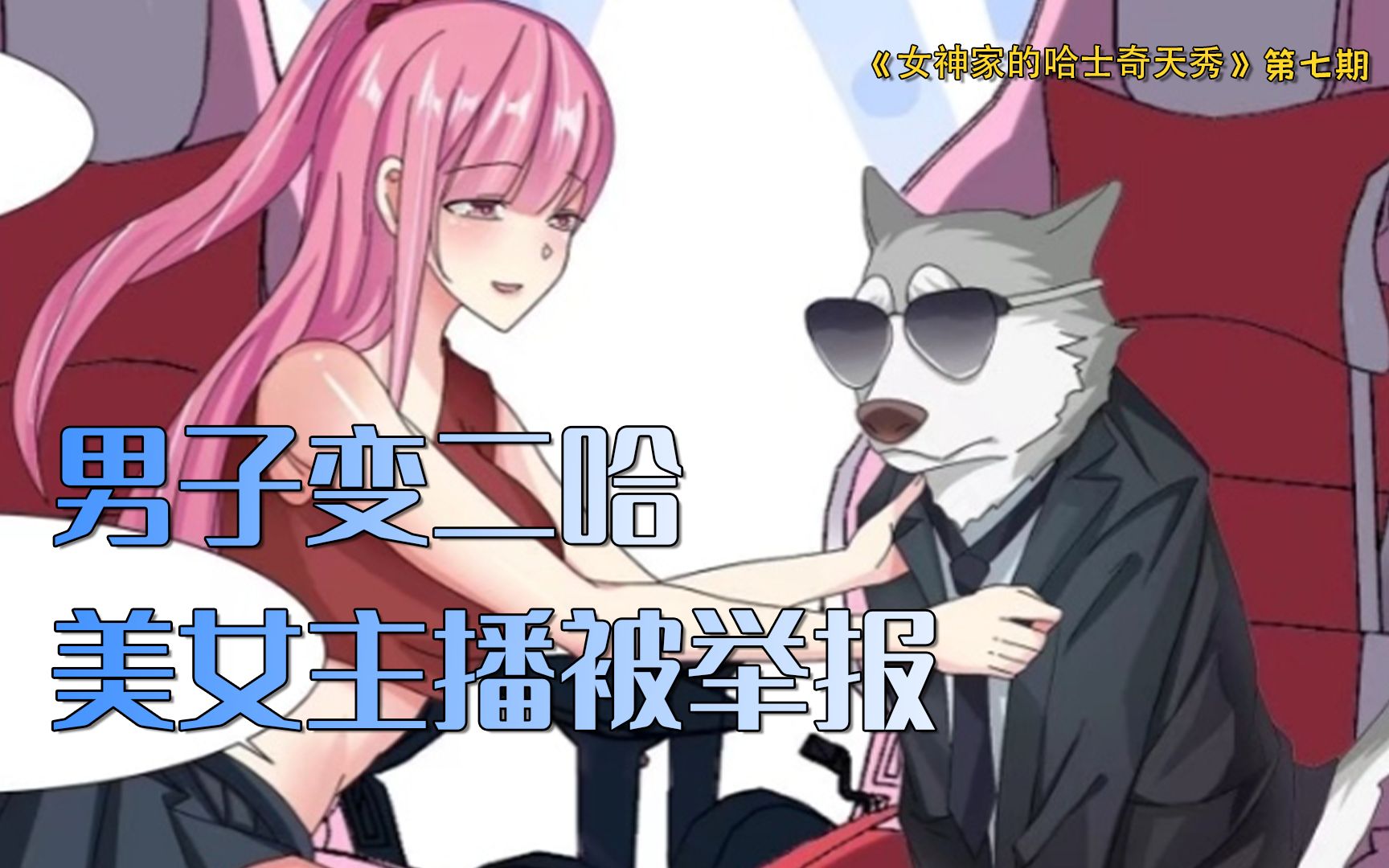 女神家的哈士奇天秀第7集美女主人直播间惨遭对家粉丝举报二哈登录