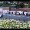 国合处形象代言猫绿豆