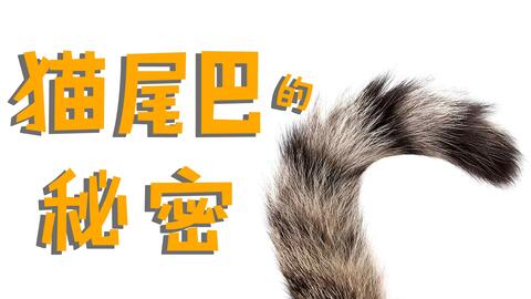 8ce760f9a721a4682cc6d6fed6b8ec23a449734c.jpg@480w_270h_1c