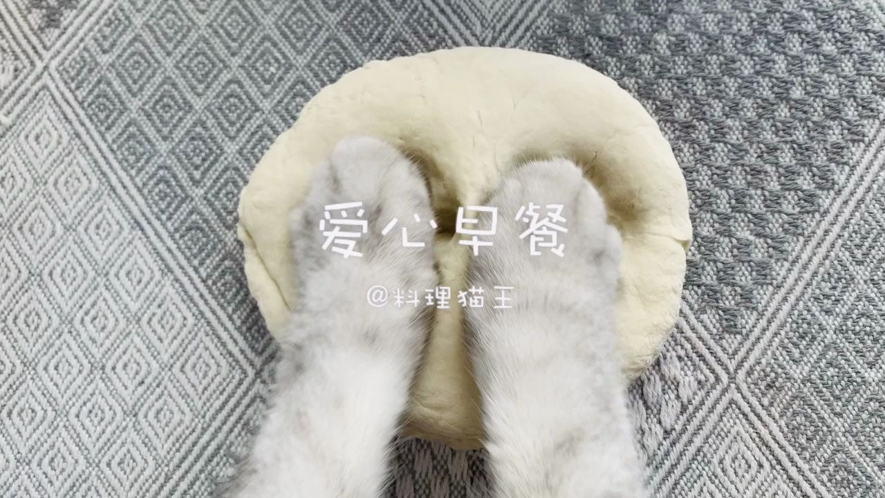 料理猫王当馒头注入灵魂之后吃还是不吃