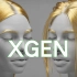 (翻译)大佬教你如果刷XGen毛发