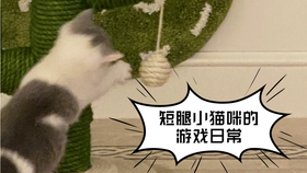 8cf41d6e752b391fbd6b8de19c49b7c7dedadbf4.jpg@280w_158h_1c_100q.jpg