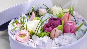 8cfb5c308d17dc714aaf333bd17e1feee02012d8.jpg@280w_158h_1c_100q.jpg