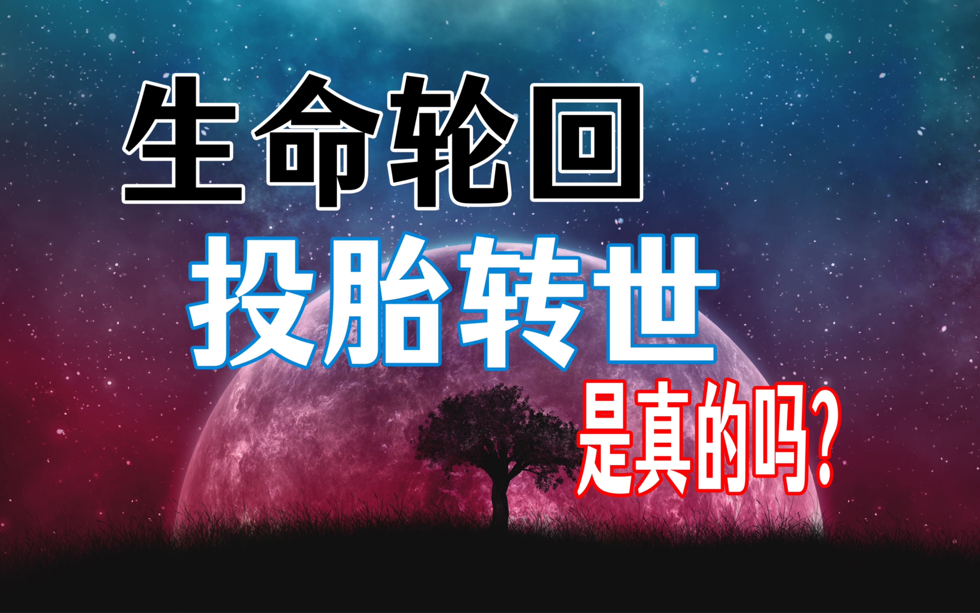 《果克星球奇遇》第33集｜果克科学家谈人的意识、灵魂、轮回