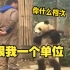熊猫：长这么大都没受过这样的气！