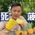 【水果猎人】最实用切菠萝的方法，简单方便还吃得爽！