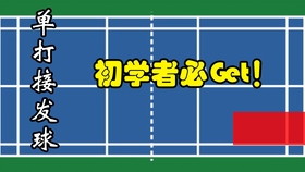 同款羽毛球 8d03676776655dcda1bdf964f3bc65f8ed1268a8.jpg@280w_158h_1c_100q.jpg