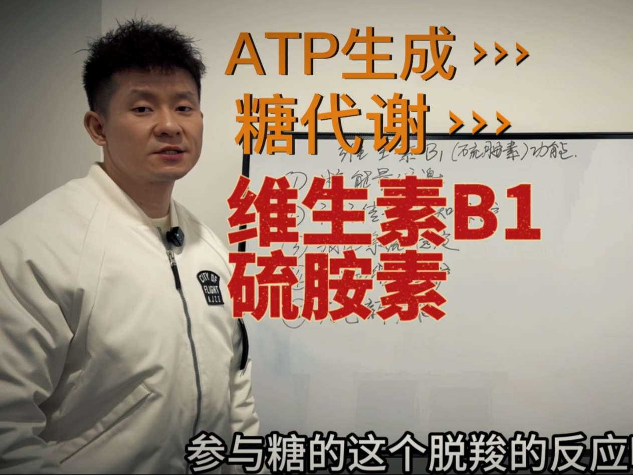 简单给大家画画全谷物 维生素B1的主要来源 参与ATP生成和能量代谢