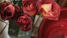 8d45ce2e0cc9de36f886a5e3dceb65be94bf74c4.png@280w_158h_1c_100q.jpg