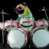 【搬运】会打鼓的狗Dog is playing drums Metallica Enter Sandman@阿尔法小分队