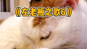 8d6317475a135a8fb9902bc66d6b00490ee0a8ca.jpg@280w_158h_1c_100q.jpg