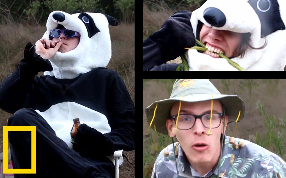 动物纪录片[idubbbztv[maxmoefoe[filthyfrank[anything4views]