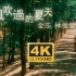 【4K修复】金莎&林俊杰 - 被风吹过的夏天 MV