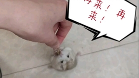 8d98897aa45b3899a04635cf77f941b3aa6b1ed9.jpg@280w_158h_1c_100q.jpg