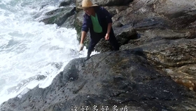 8dcdc5937b8aa860efb2453a4311642b900c79f1.jpg@280w_158h_1c_100q.jpg