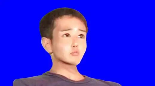 整形后变得美丽的先辈BB.update
