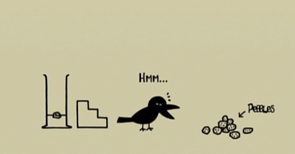 【纪录片/NHK】思考的乌鸦 科学的思考方法-Think Like a Crow! The Scientific Method（2013） 16