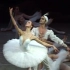 2007年马林斯基 la bayadere 第三幕结尾 Ulyana Lopatkina，Nikolay Tsiskar