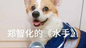 8deda63667d08d97bee4acd9a5cbfd078d9dbdd6.jpg@280w_158h_1c_100q.jpg