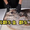 做翻车鱼翻车了