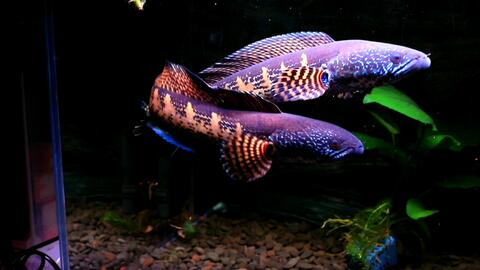 8e0d51f7686be46e8ebd6f3e2ff853b0c5005178.jpg@480w_270h_1c