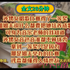 「完结文」外甥女唱歌得了一等奖，姐姐姐夫说要把她培养成歌星。可身为音乐老师的我知道，外甥女音都不准，拿到一等奖只是因为那是姐夫举办的比赛，评委都懂人情世故罢了