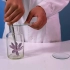 人教版化学九年级最新版实验视频合集《二氧化碳与水反应》