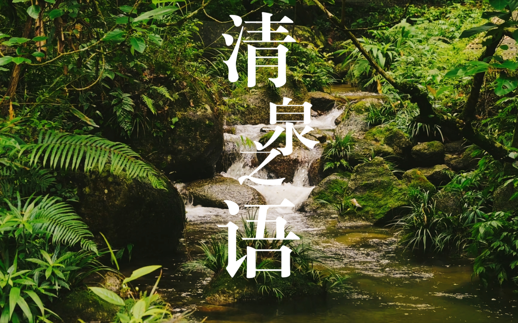 【白噪音系列】享受432HZ的清泉流水声|放松神经 |舒解心情| 冥想静心| 亲近大自然| 白噪音助眠入睡 |治疗失眠 |清泉之语