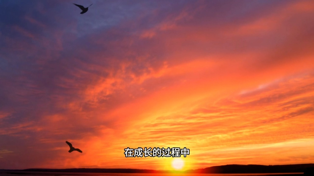 如何正确的对待自己？别再走伤害自己的老路了，去像圣人一样爱自己！但用此心，直了成佛！