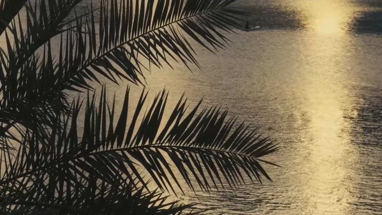 为什么99%的人学遍所有经典，烦恼痛苦却还是挥之不去呢？真正的觉醒钥匙其实藏在这里！