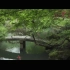 30. [4K] 青蓮院 京都の庭園　SHOREN-IN [4K] The Garden of Kyoto
