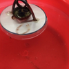 用铜管和发泡板制作一个旋转的小船，后续发制作和研究视频，记得关注哦