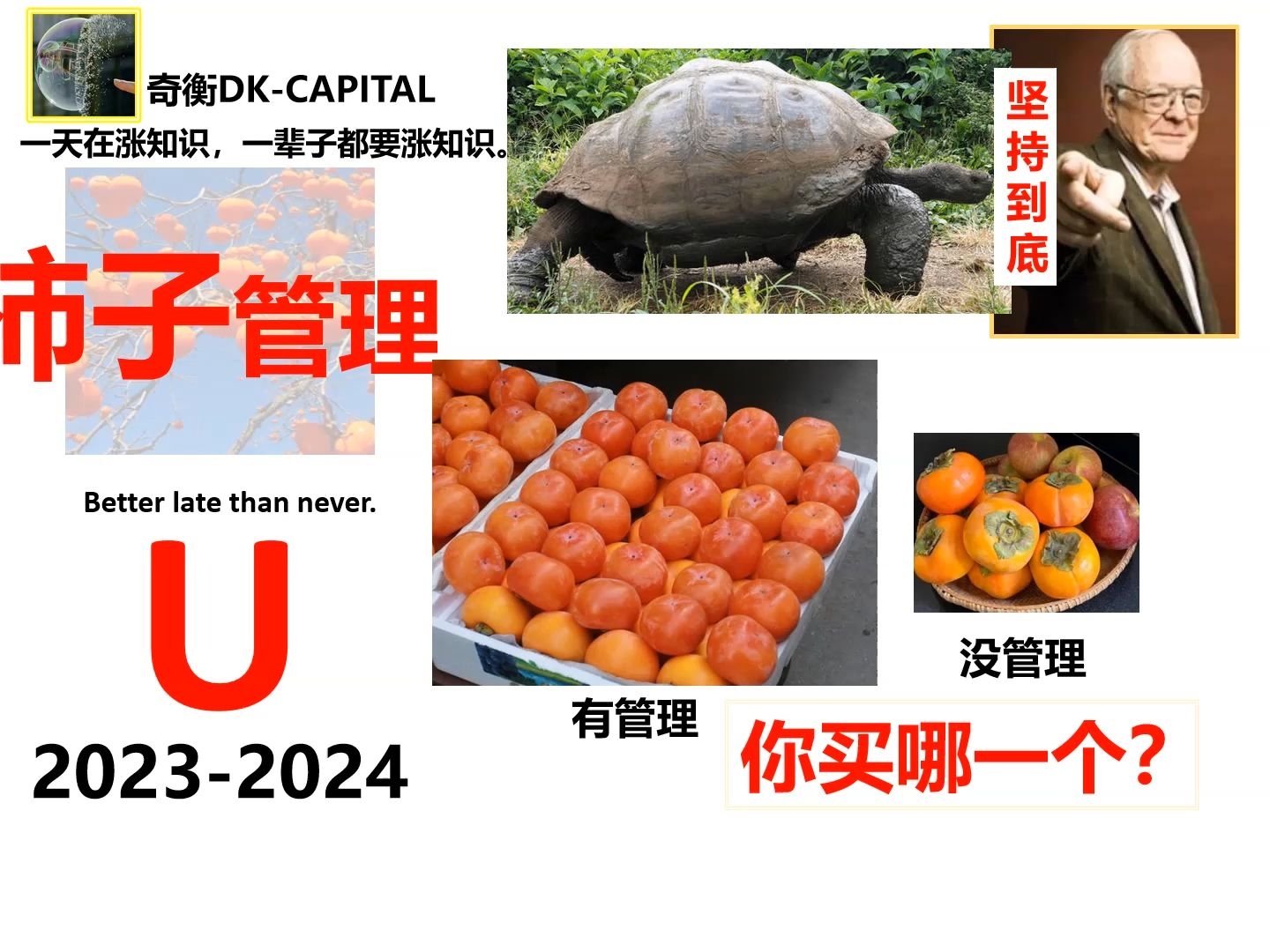 柿子管理必须纳入水果供应商的考核【奇衡DK涨知识2024】