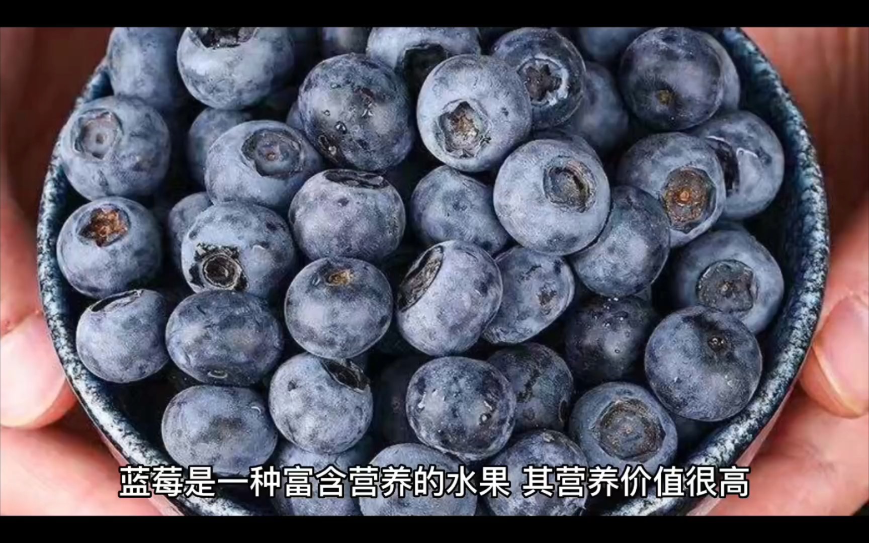蓝莓摄影图__水果_生物世界_摄影图库_昵图网nipic.com