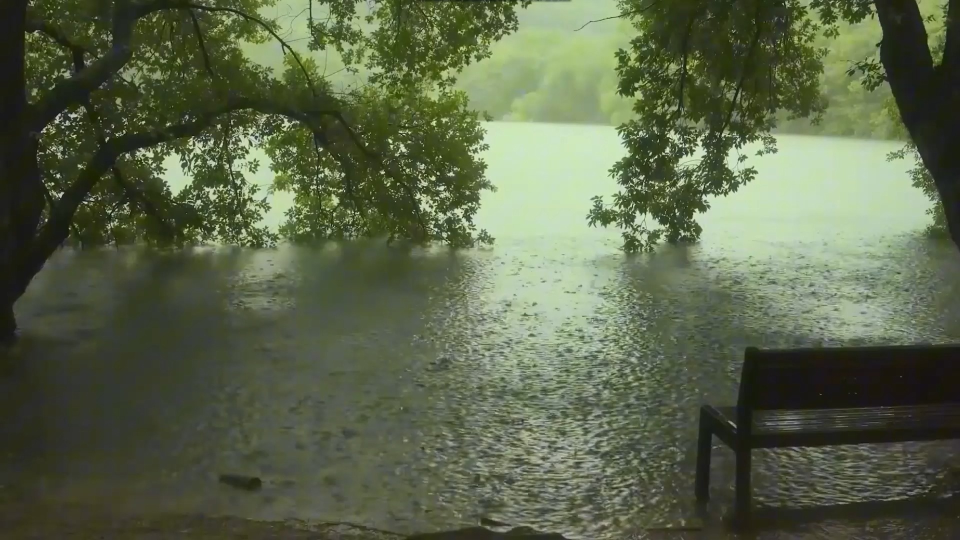 【真实雨声】舒适白噪音助眠雨声