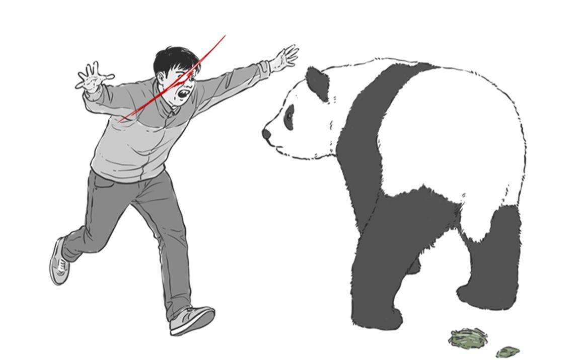 如何偷走一只熊猫？？