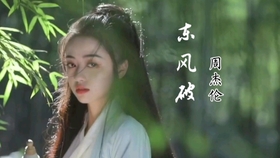 东风破琵琶曲谱_琵琶谱东风破(4)