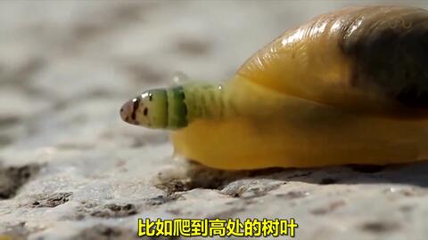 8e9bcf4a3f4dd34f732b719f97c4bbc122276134.jpg@480w_270h_1c