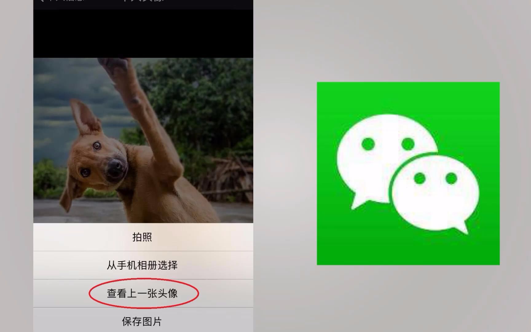 微信也可以查看历史头像了?快看看你的上一个头像是什么