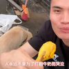不要为了打翻的牛奶而哭泣