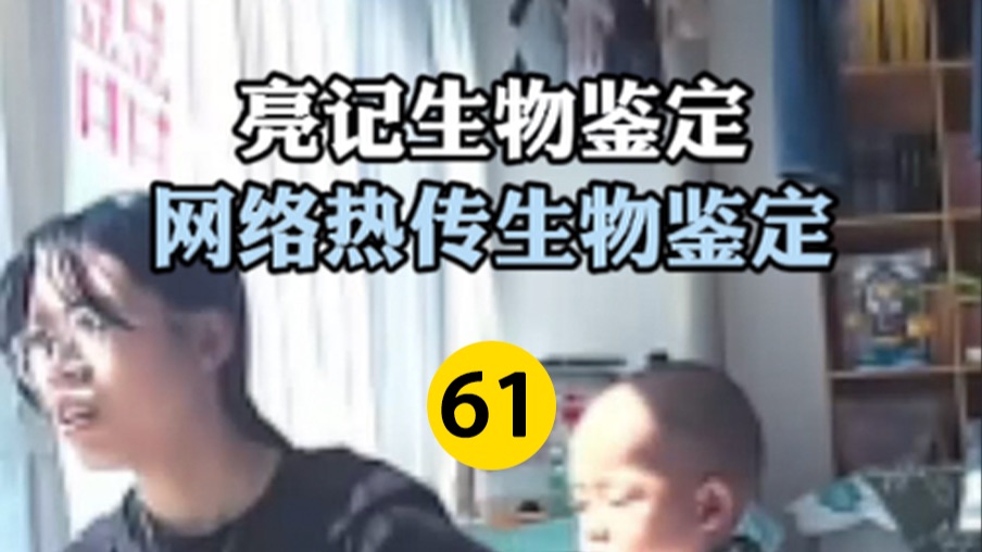 网络热传生物鉴定 第61期