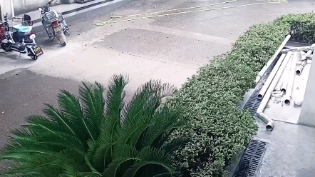 下暴雨啦/窸窣日常