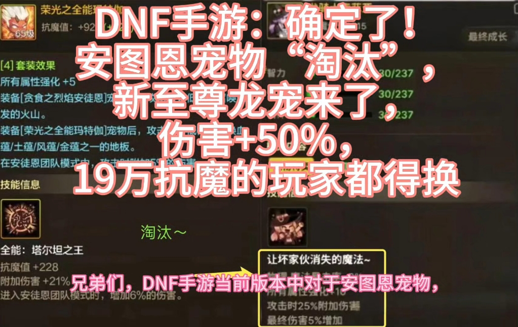 DNF手游：确定了！安图恩宠物“淘汰”，新至尊龙宠来了，伤害+50%，19万抗魔的玩家都得换