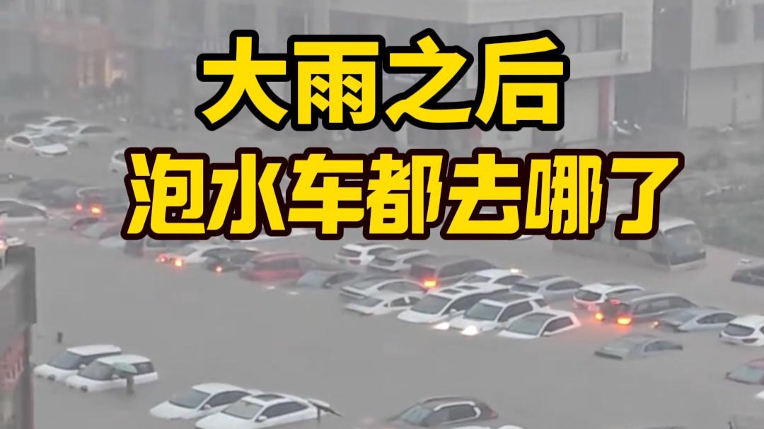 大雨之后，泡水车都去哪儿了？真的都被全损拿去报废了吗？