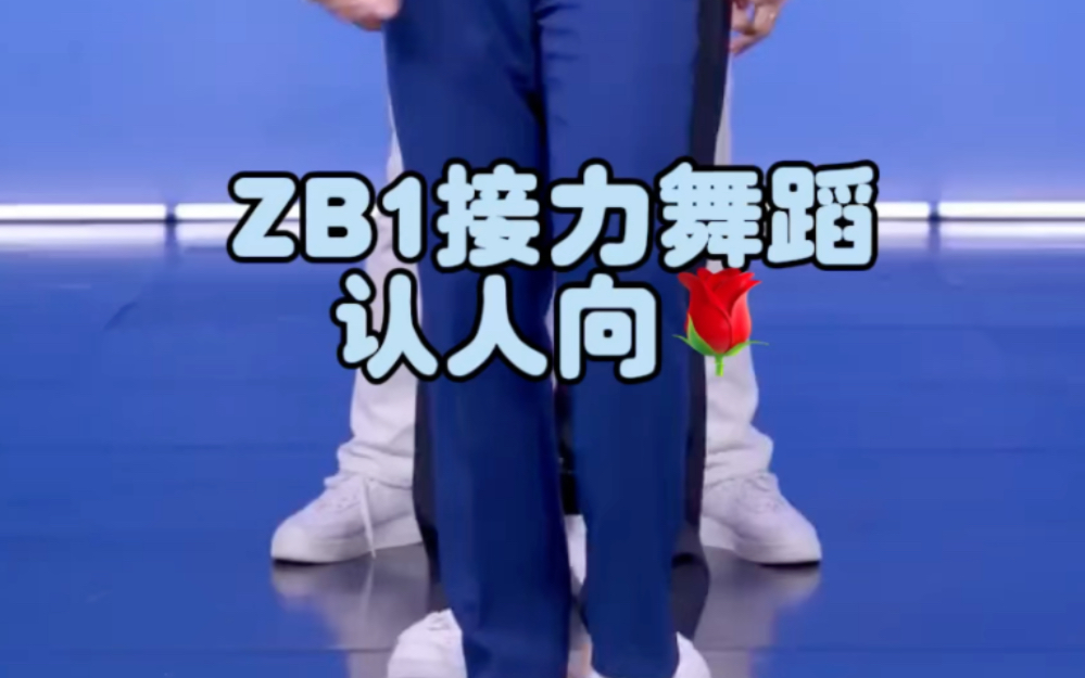 zb1认人向