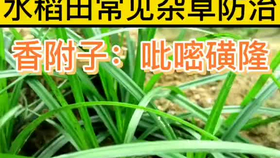8f45acb8145bb3b312ec206c837954bbbf7c008f.png@280w_158h_1c_100q.jpg