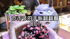 8f4bcd817d4697f5efdbfc7b8f58184ae3f8f40d.jpg@280w_158h_1c_100q.jpg