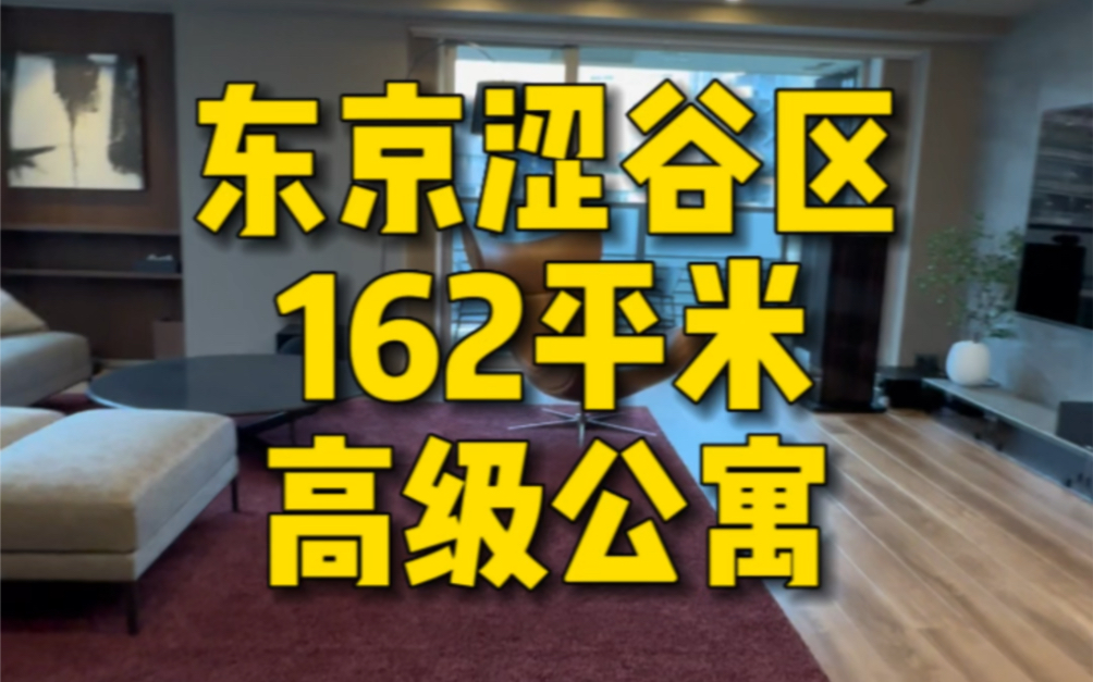东京涩谷区162平米高级公寓