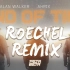 Alan Walker-End Of Time  复杂电子【Roechel Remix】