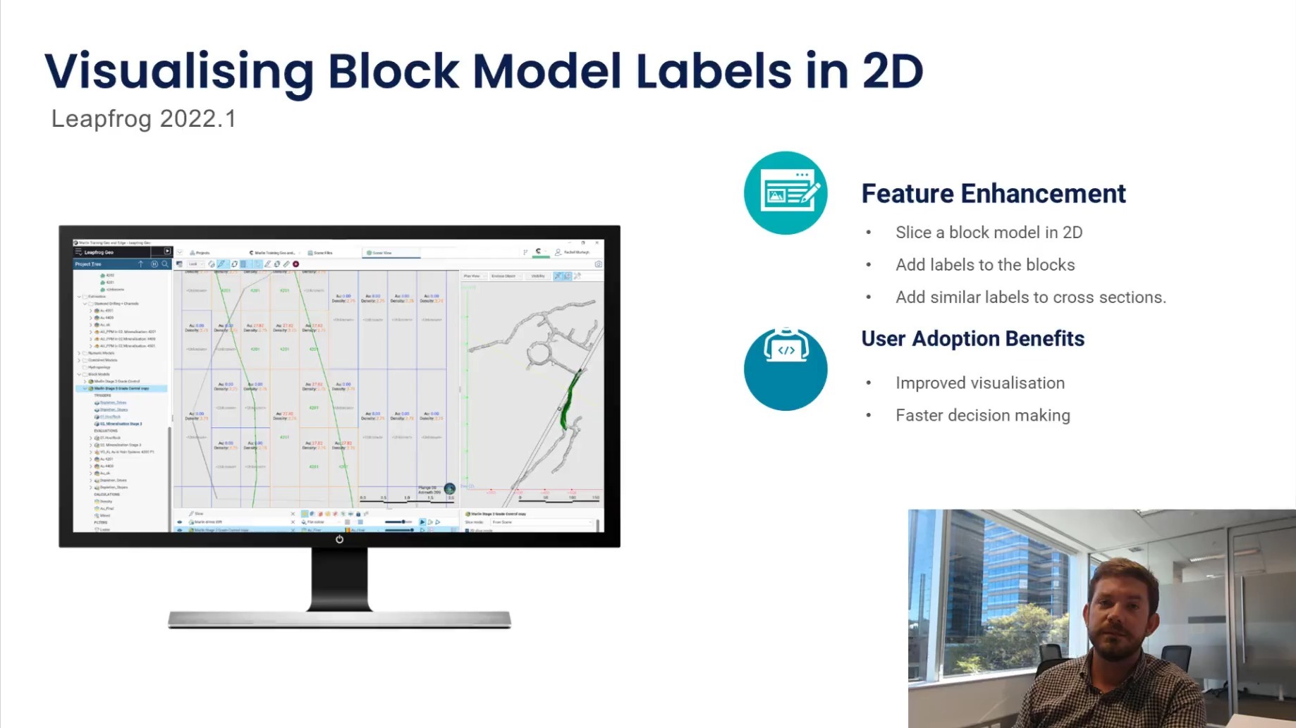 Visualising Block Model Labels in 2D in Leapfrog geo